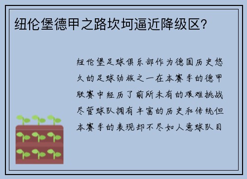 纽伦堡德甲之路坎坷逼近降级区？